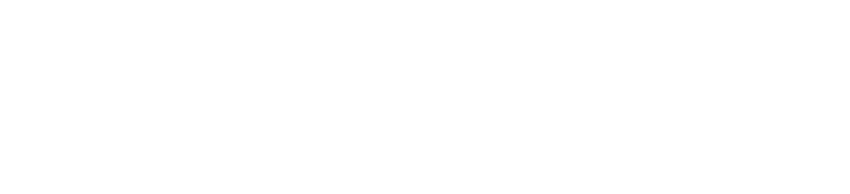 Штерцер